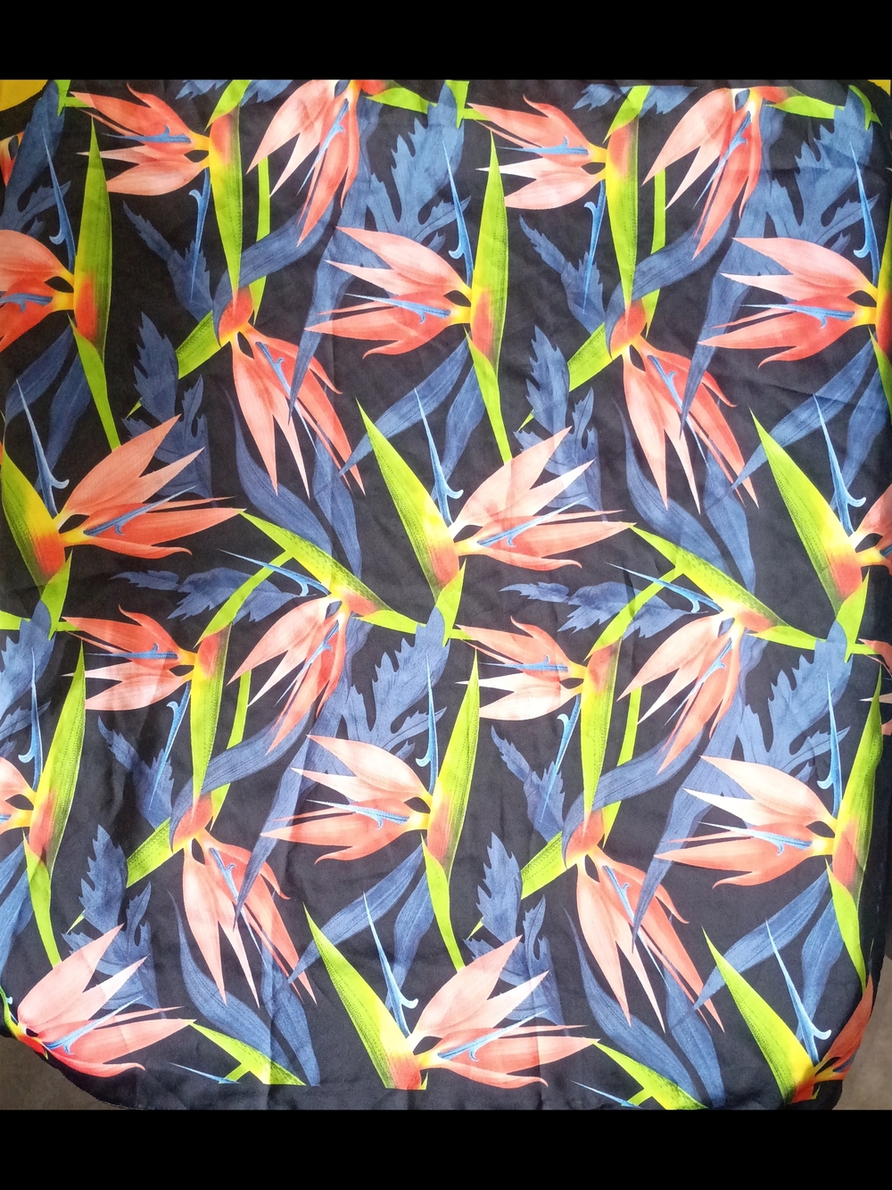 Zara Collections Tropical Floral Scarf in Black, Coral & Lime